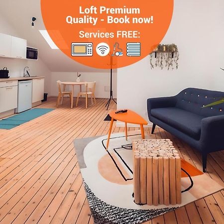 Loft Lumineux Tres Spacieux - Parking Gratuit Châteauroux المظهر الخارجي الصورة